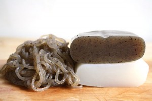 konjac-bio-regime-coupe-faim-naturel-minceur-poudre-bloc-maigrir-vertus-proprietes-perte-poids-vegetarien-71